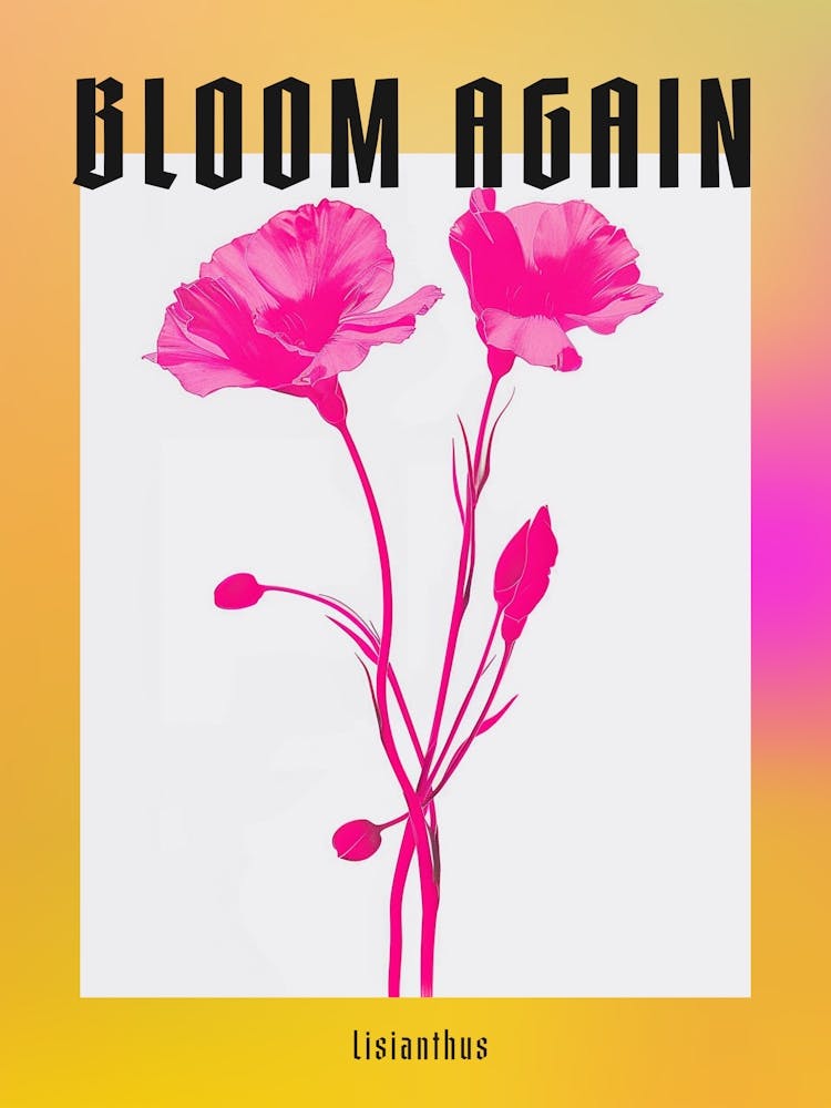 Hot Pink Lisianthus 1 Poster