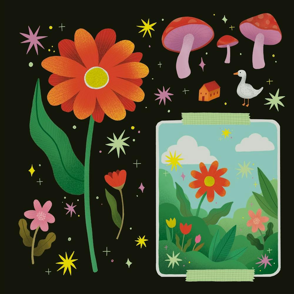 Flowers and Mushrooms