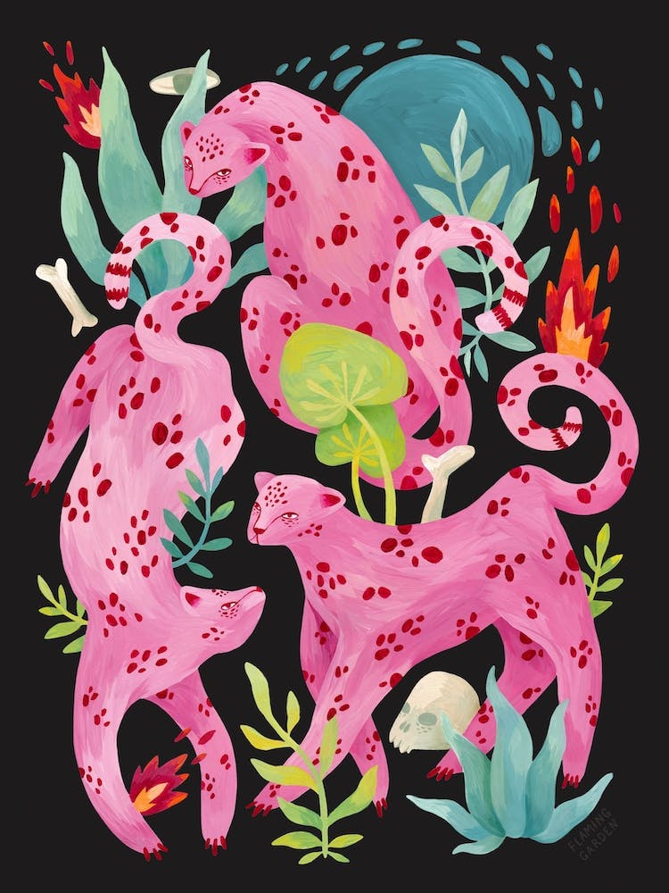 Three Pink Leopards