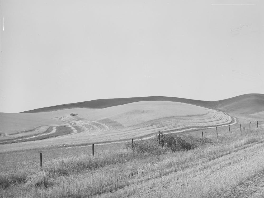 Weizenfelder, Mähdrescher bei der Arbeit, Walla Walla County, Washington Von Russell Lee