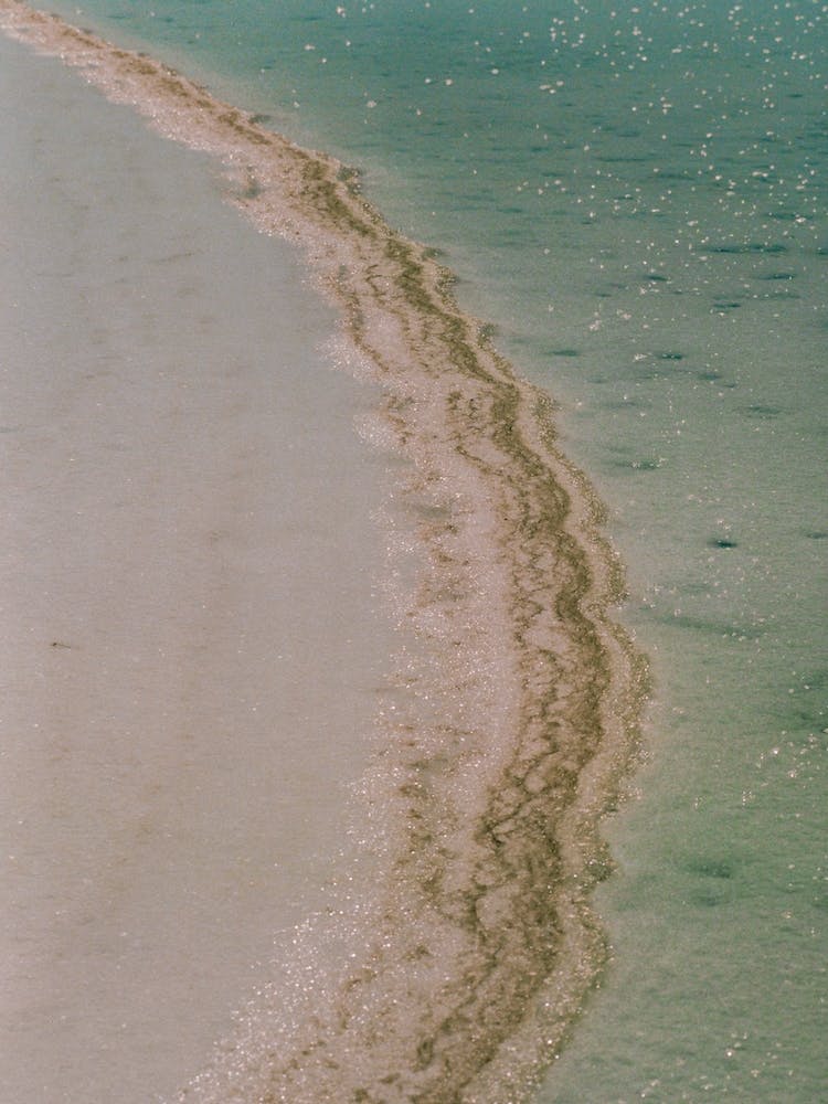 Abstract Shimmer On California Beach