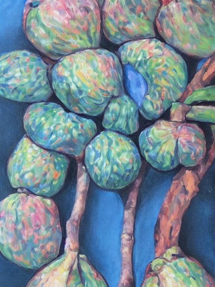 Custard Apple Classic Fruit