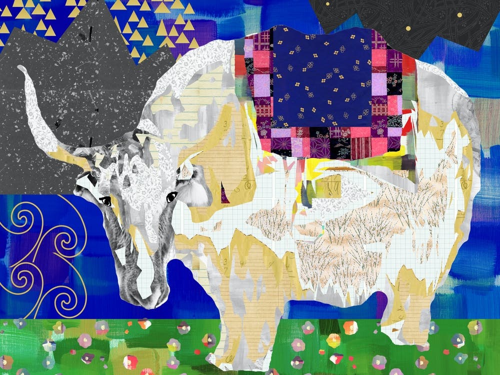 Indian Cow Collage