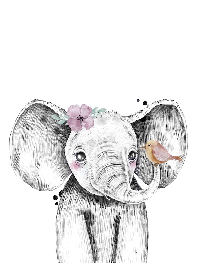 Safari Babies Elephant With Flower