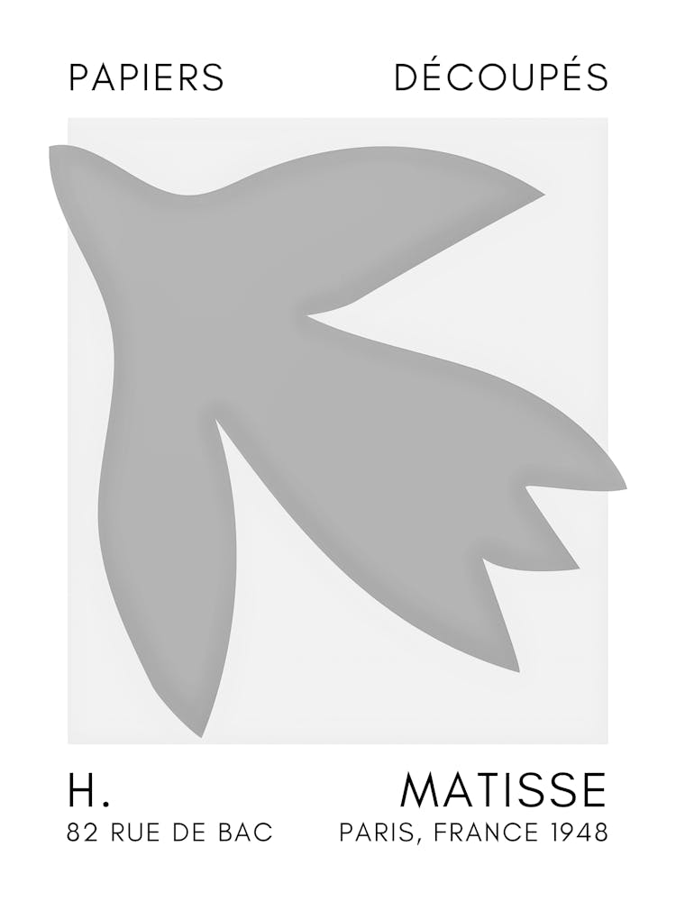 Matisse 25