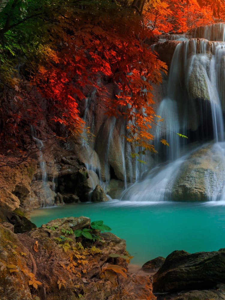 Waterfall In The Forest