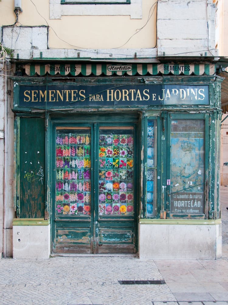 Sementes Para Hortas E Jardins