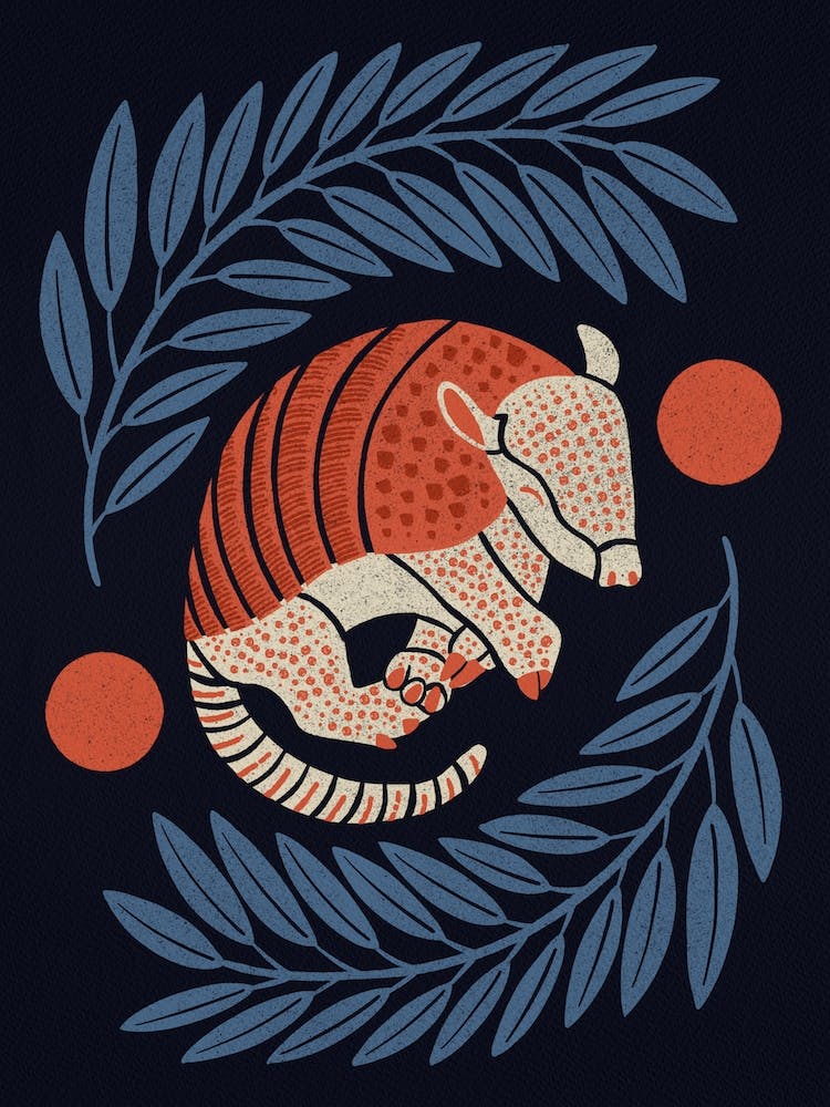 Armadillo   Navy Blue And Red