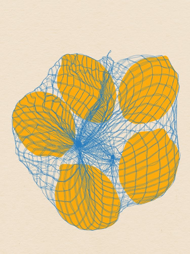 Five Lemons In A Net Bag
