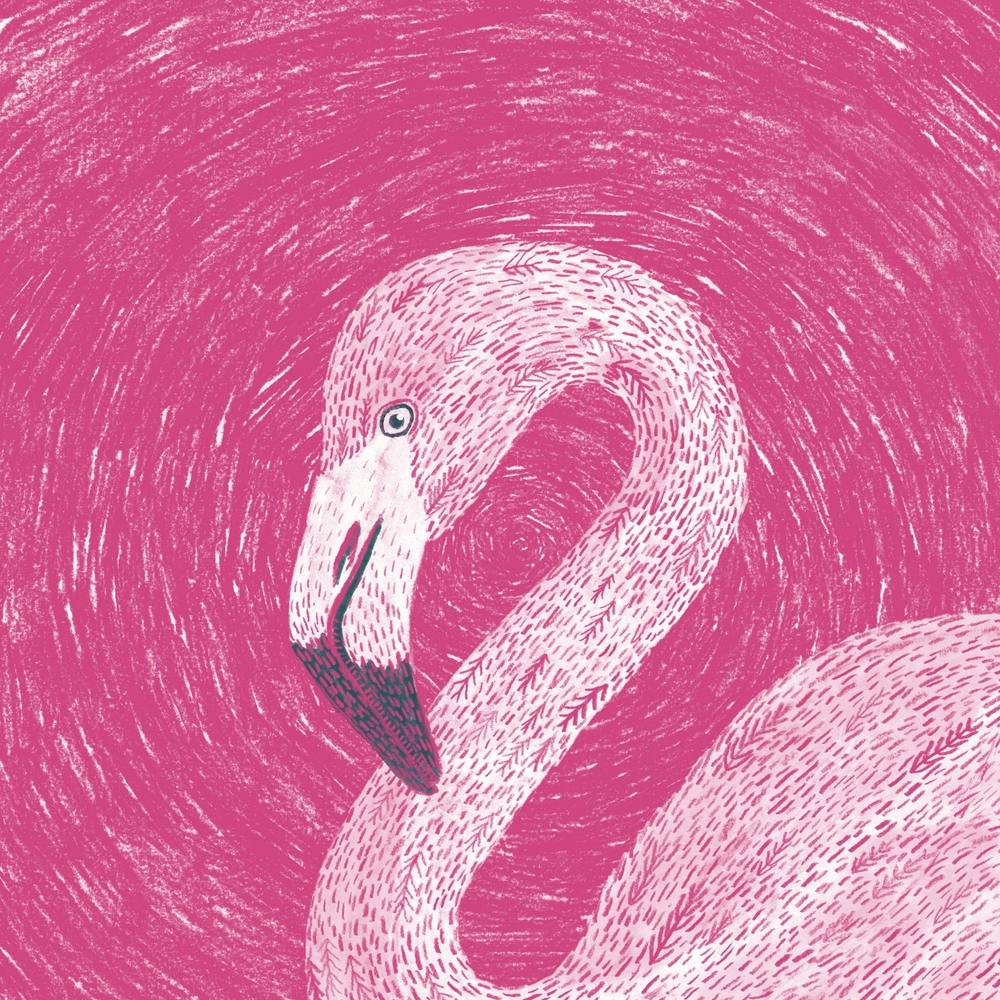 Flamingo Square