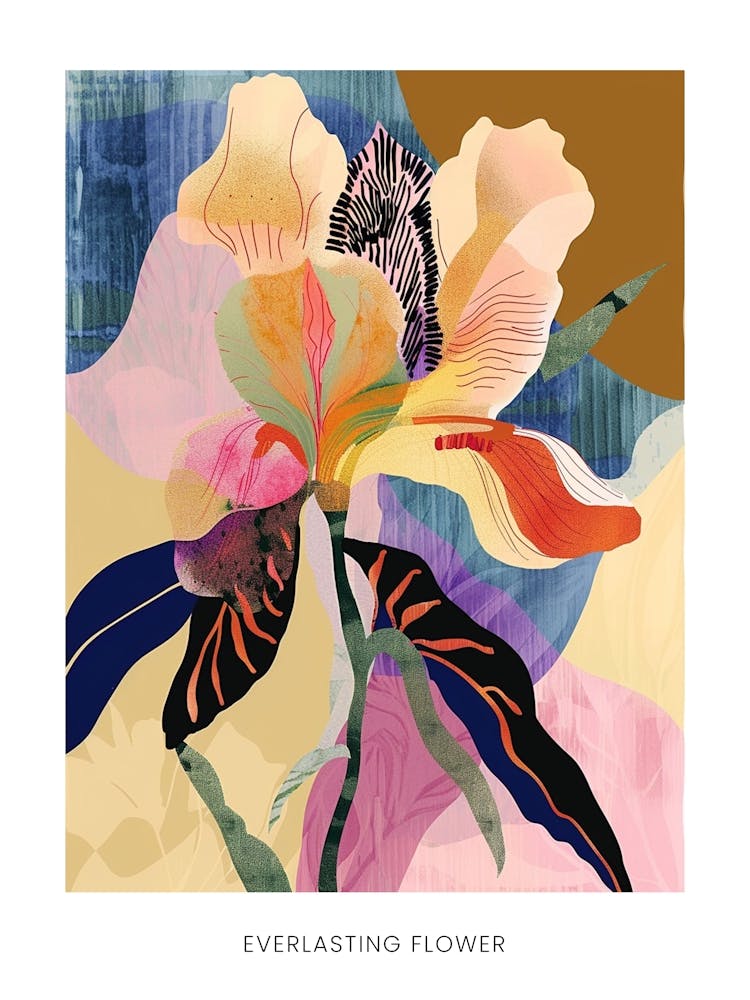 Colourful Flower Illustration Poster Everlasting Flower 2