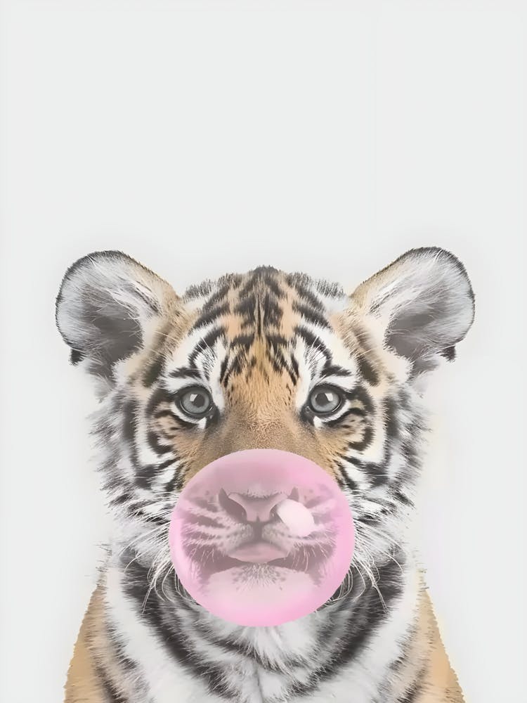 Tiger Chewing Gum Canvas Print