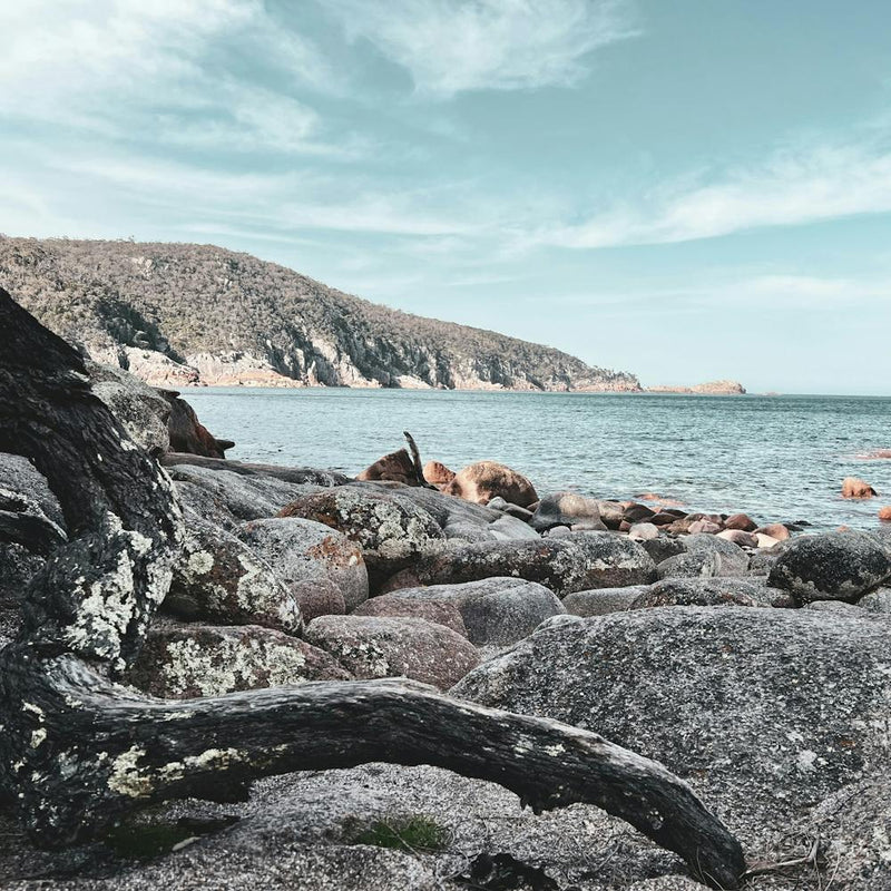 Rocky Shore