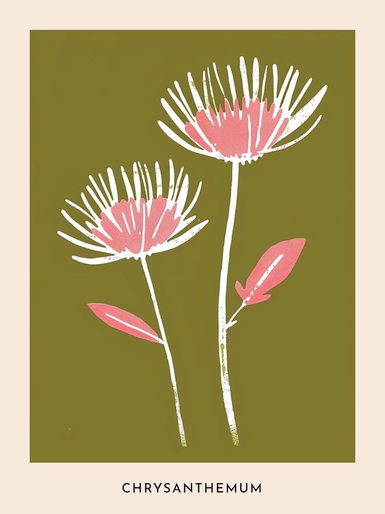 Pink & Green Chrysanthemum 4 Flower Poster