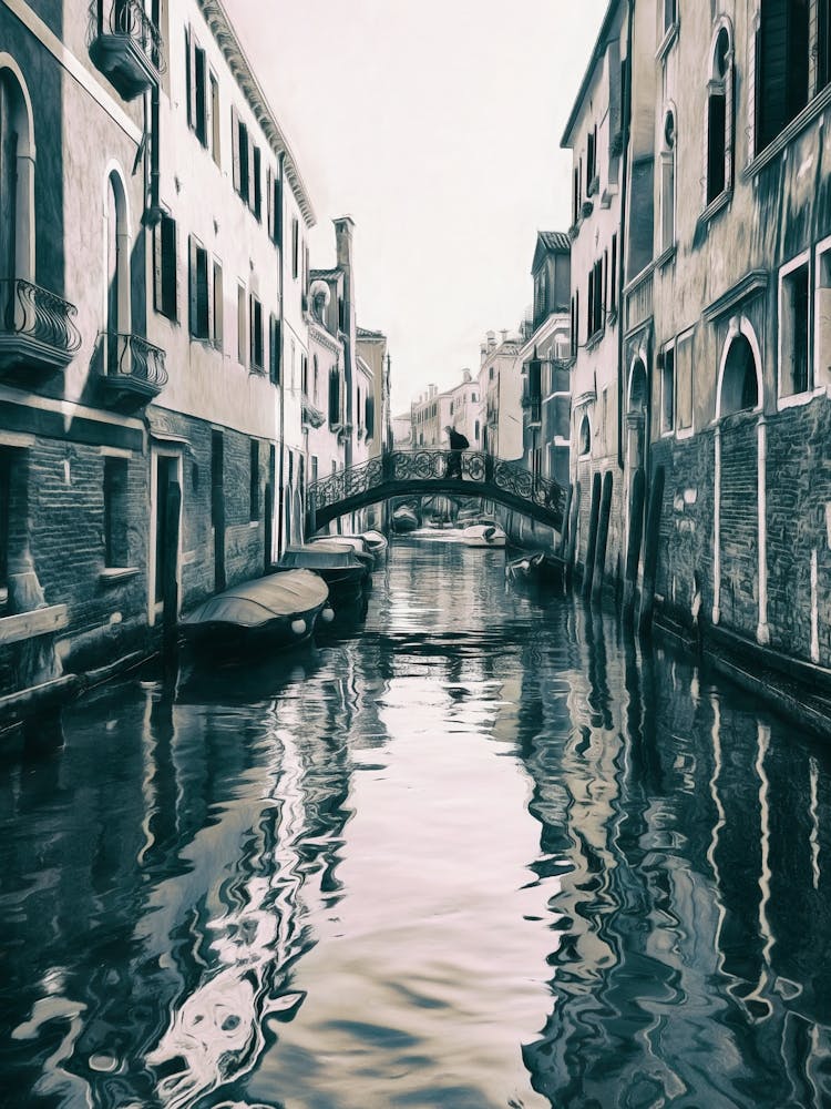 Canal Crossing Venice 1