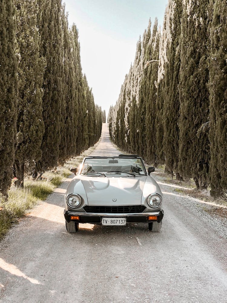 Fiat Spider on Cypress Road at Tuscany