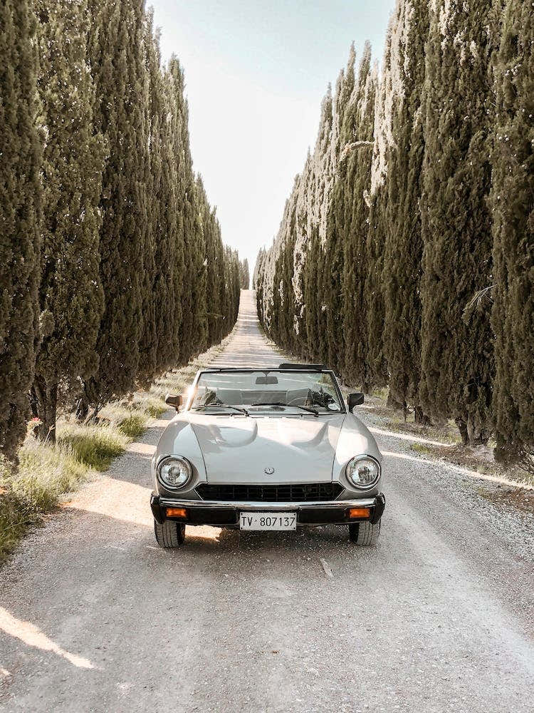 Fiat Spider on Cypress Road at Tuscany
