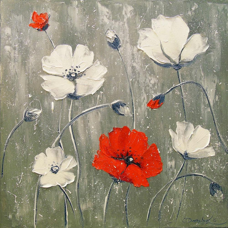 White and red poppies