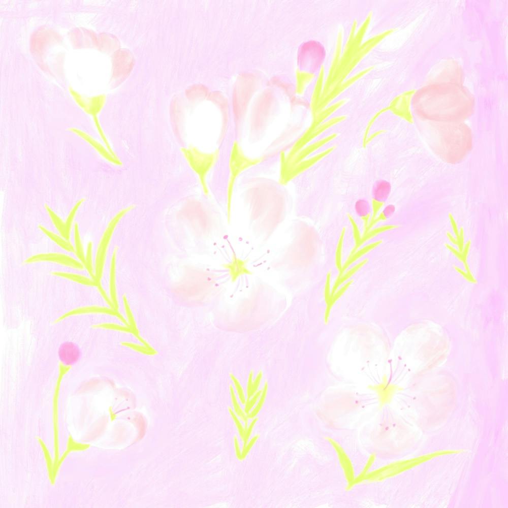 Whispers of Soft Flowers