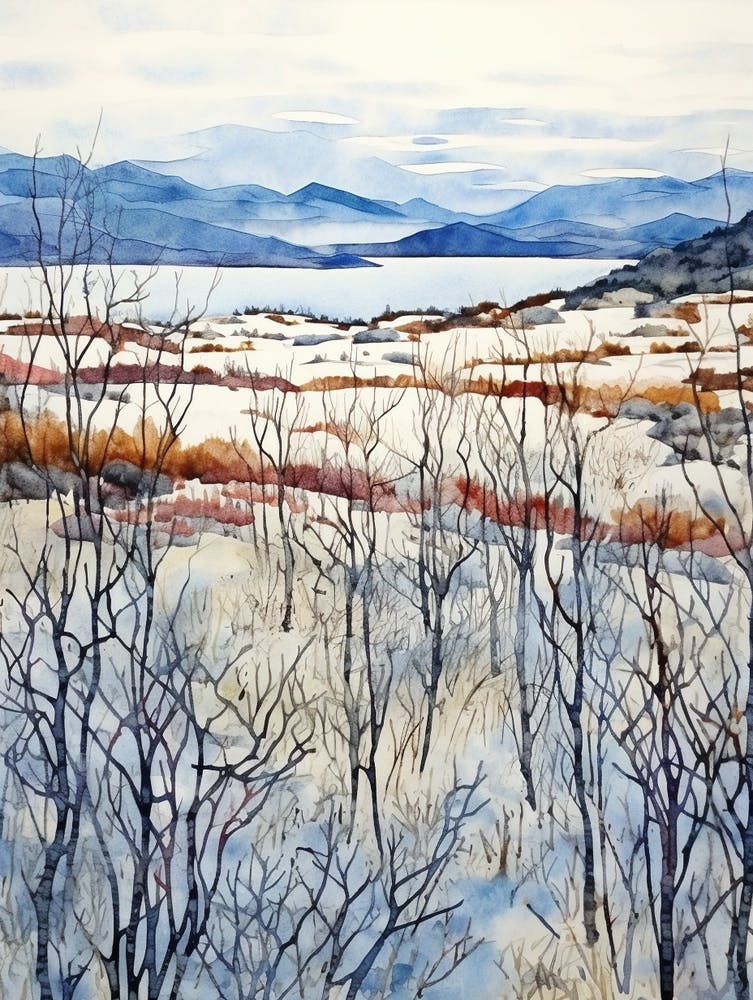 Tierra Del Fuego National Park Argentina 4 Copy