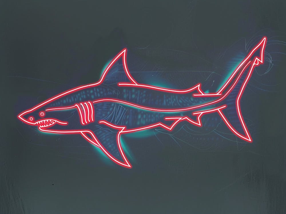 Neon Zebra Shark 2