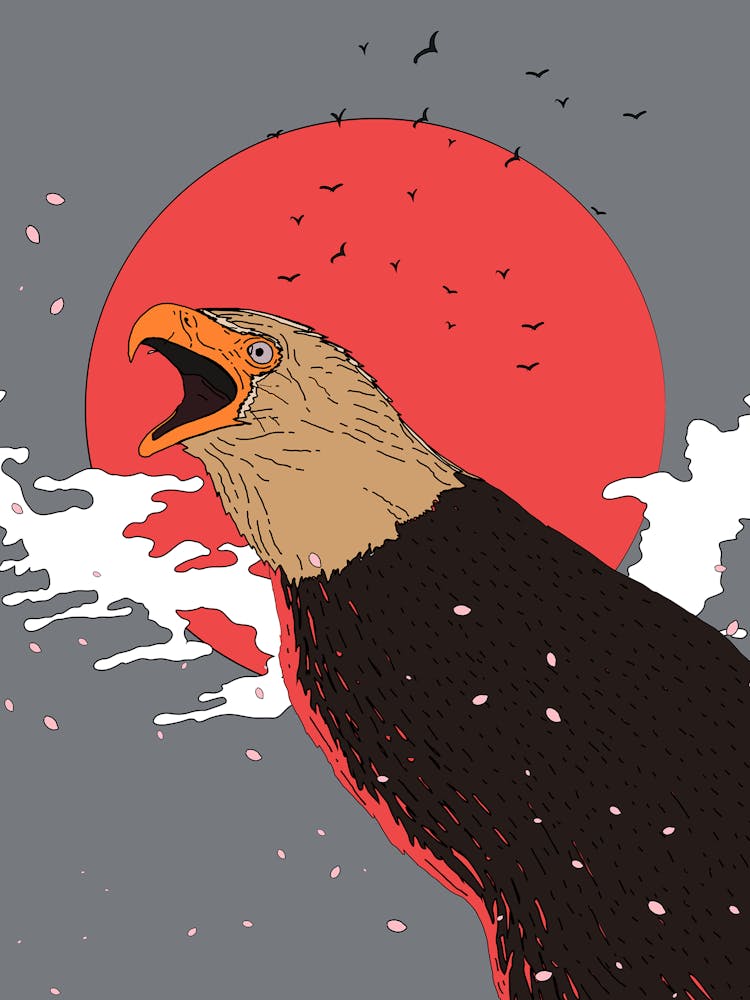 Bald Eagle