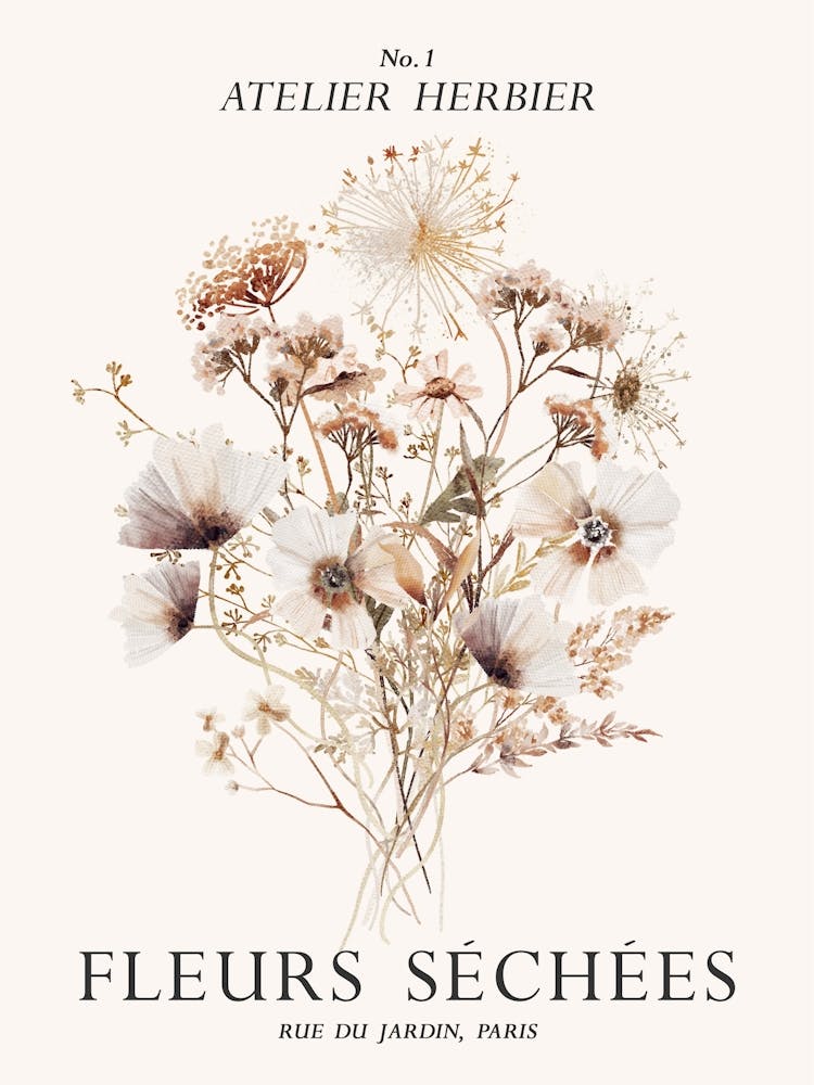 Fleurs Sechees - Dried Flowers