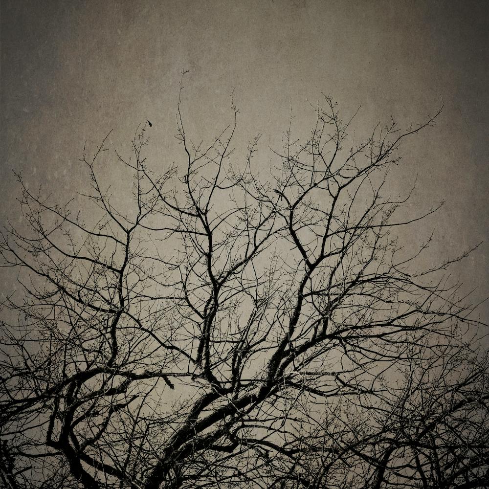 Reaching Trees 1