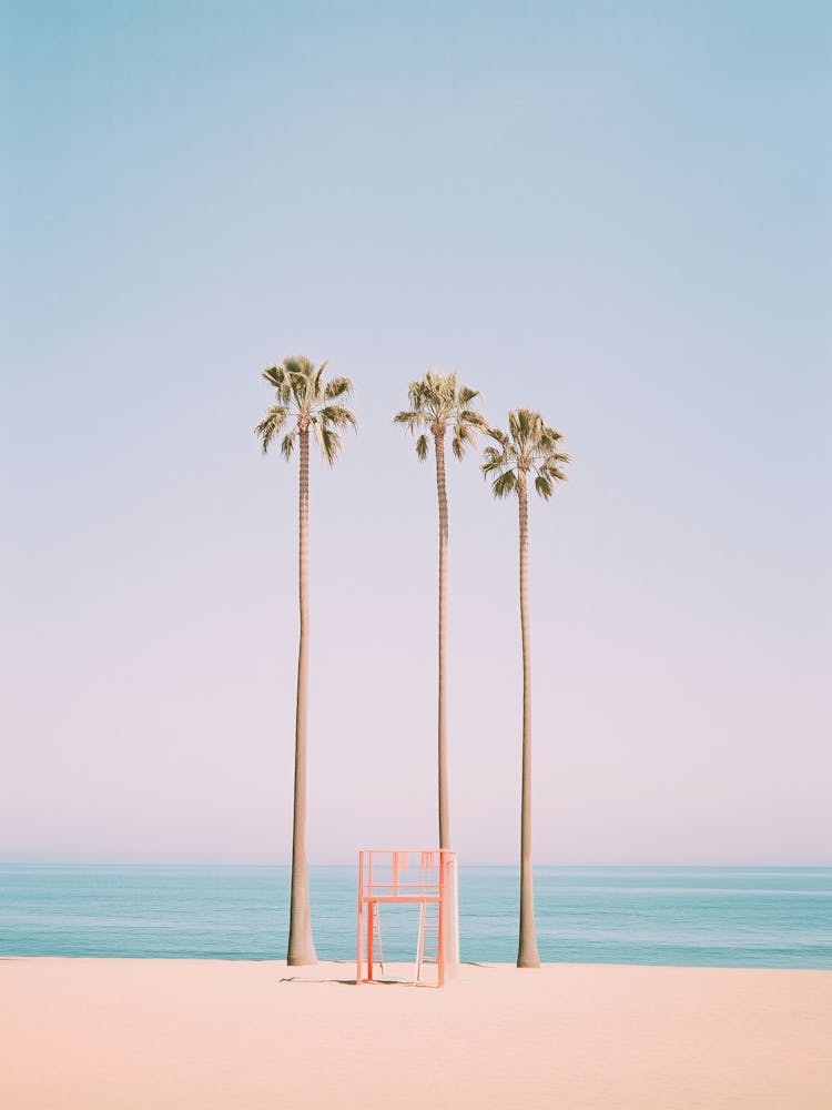 Three Palm Trees On The Beach in Pastel Tones