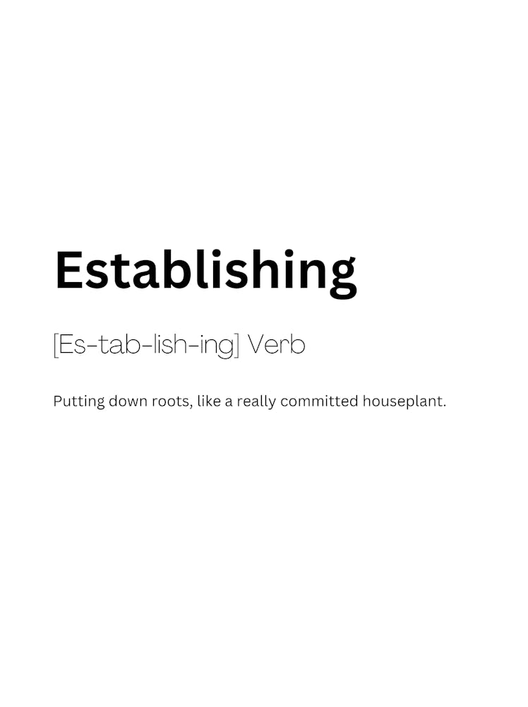 Establishing Definition Meaning
