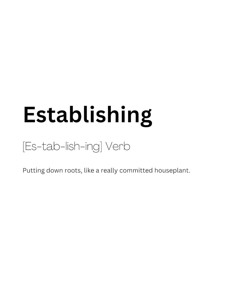 Establishing Definition Meaning