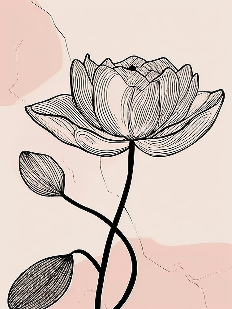 Lilies Line Art Flowers Illustration Neutral 3
