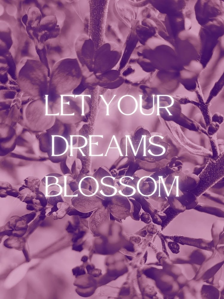 Let Your Dreams Blossom