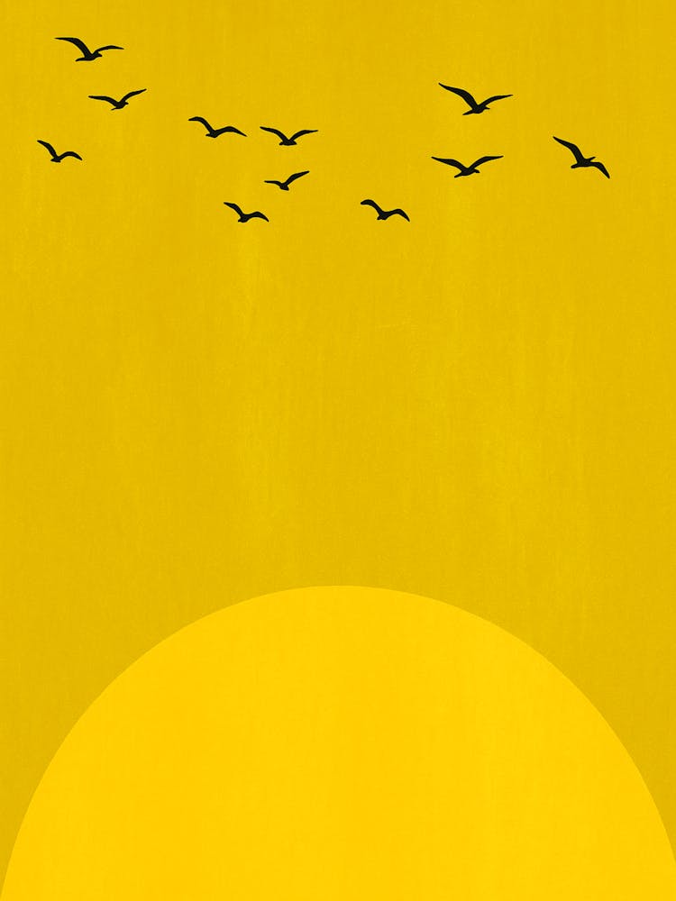 Sun Dance Sunset Birds