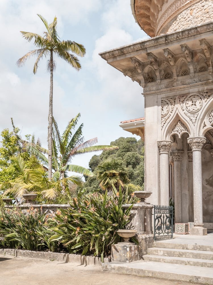Tropical Moserrate Palace