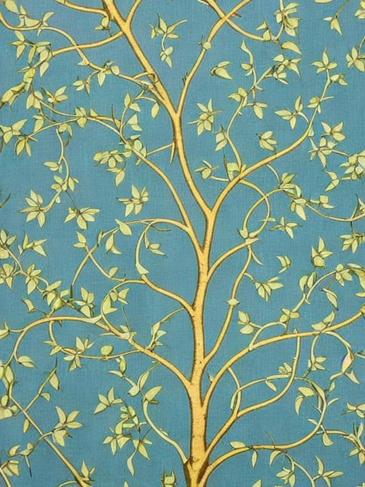 Golden Chain Tree 2 tree Vintage Botanical