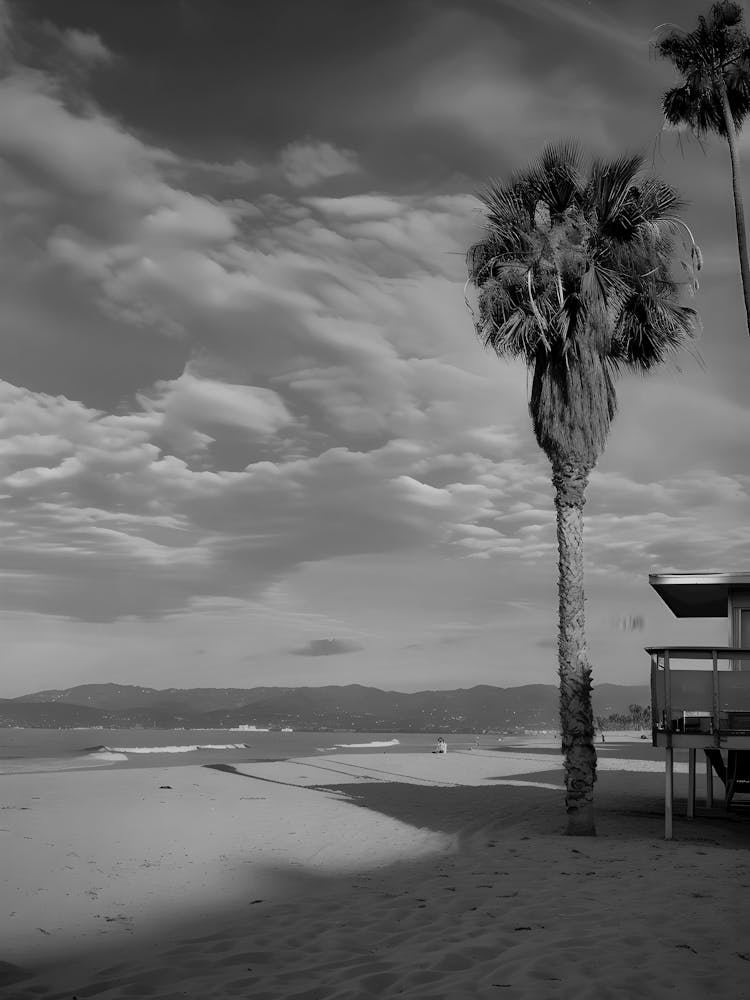 Black And White Beach Scene 5