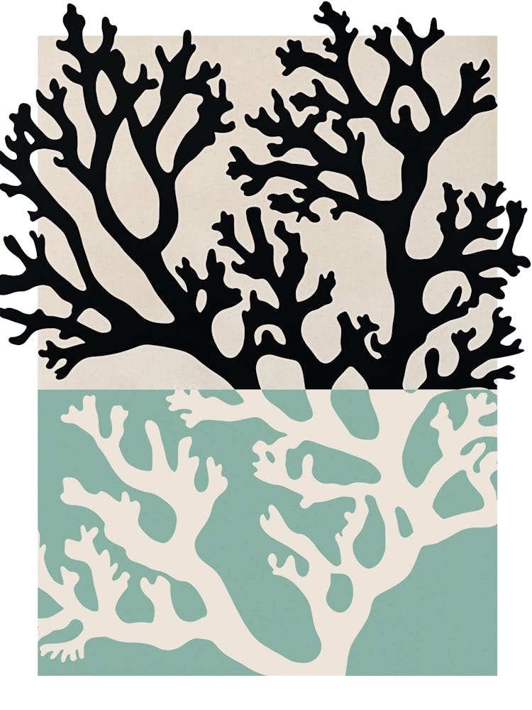 Coral Mint
