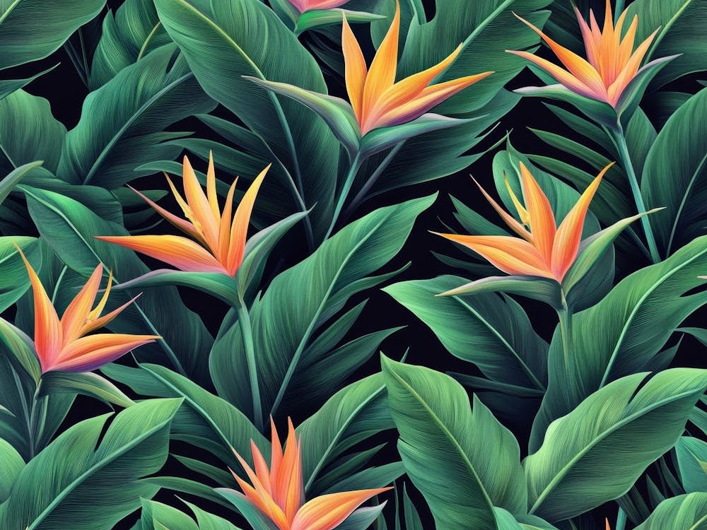 3D Bird of Paradise