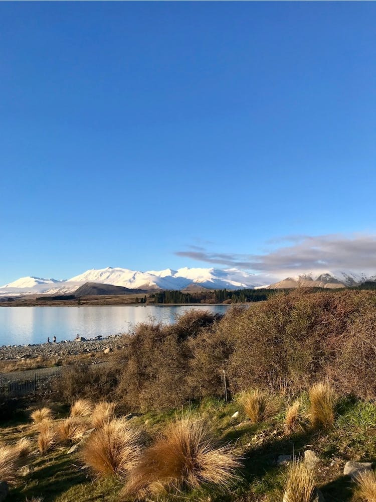 Lake Tekapo, New Zealand