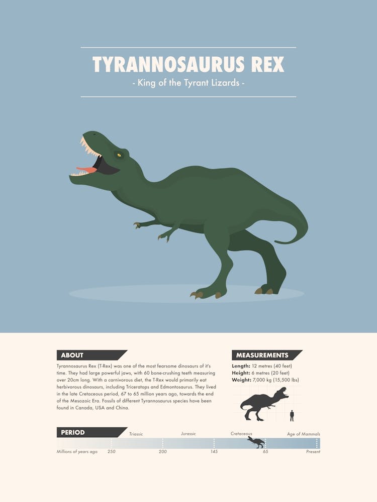 T-Rex - Dinosaur Fact