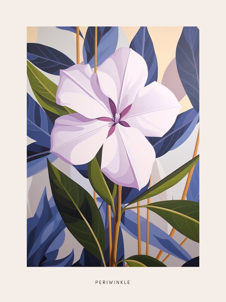 Flower Illustration Periwinkle 3 Poster