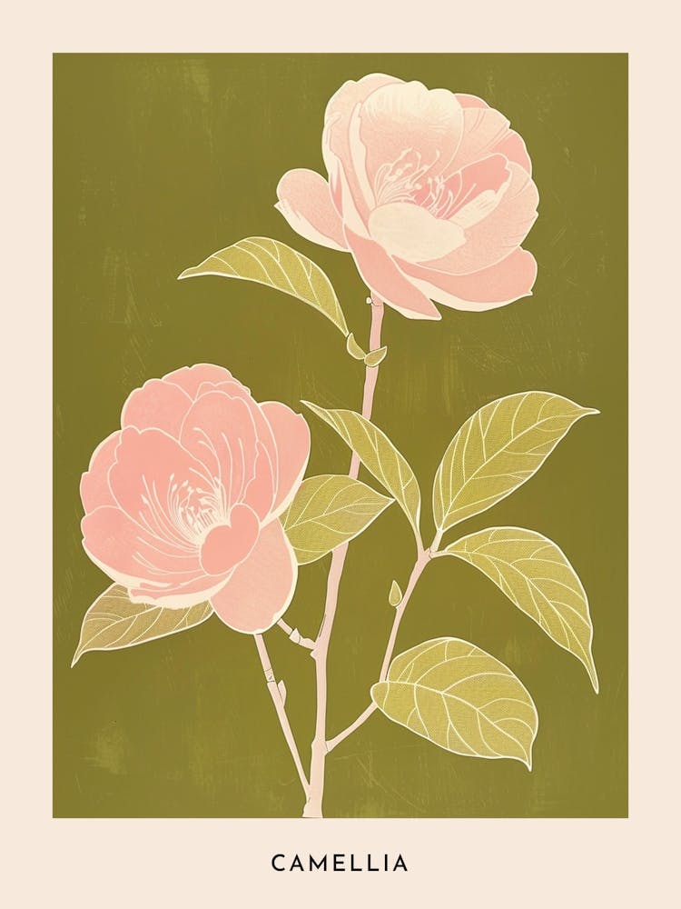 Pink & Green Camellia 2 Flower Poster
