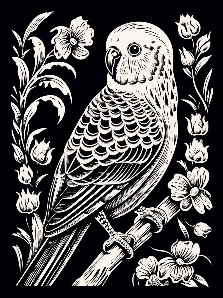 B&W Bird Linocut Budgerigar 3