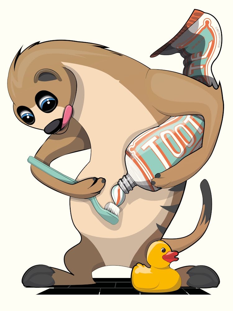 Meerkat Brushing Teeth 1