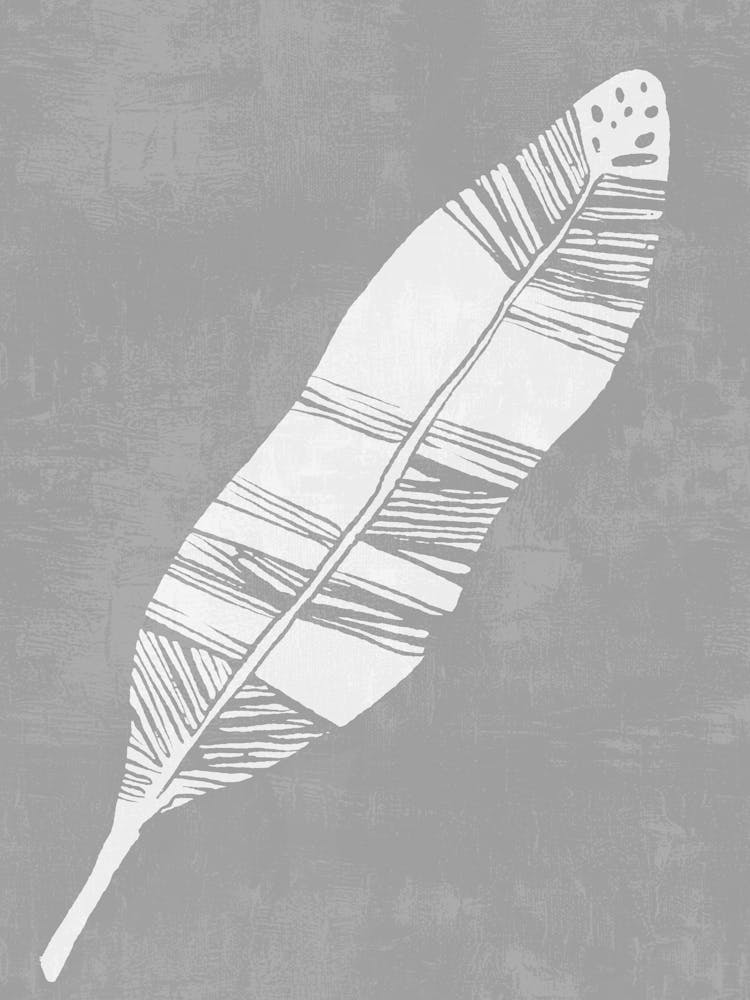 Plume Plume