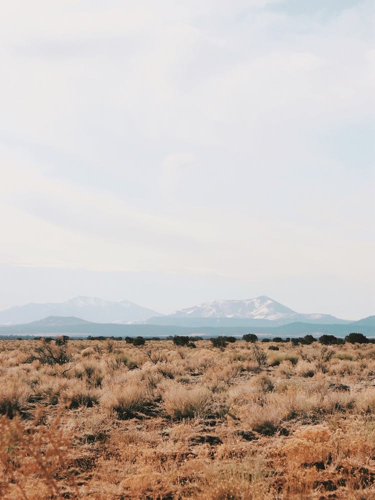 Vue de l'Arizona du Nord