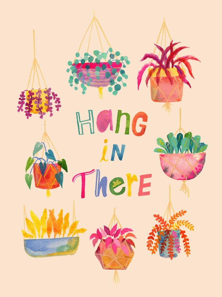 Hanging Indoor Plants Ivory