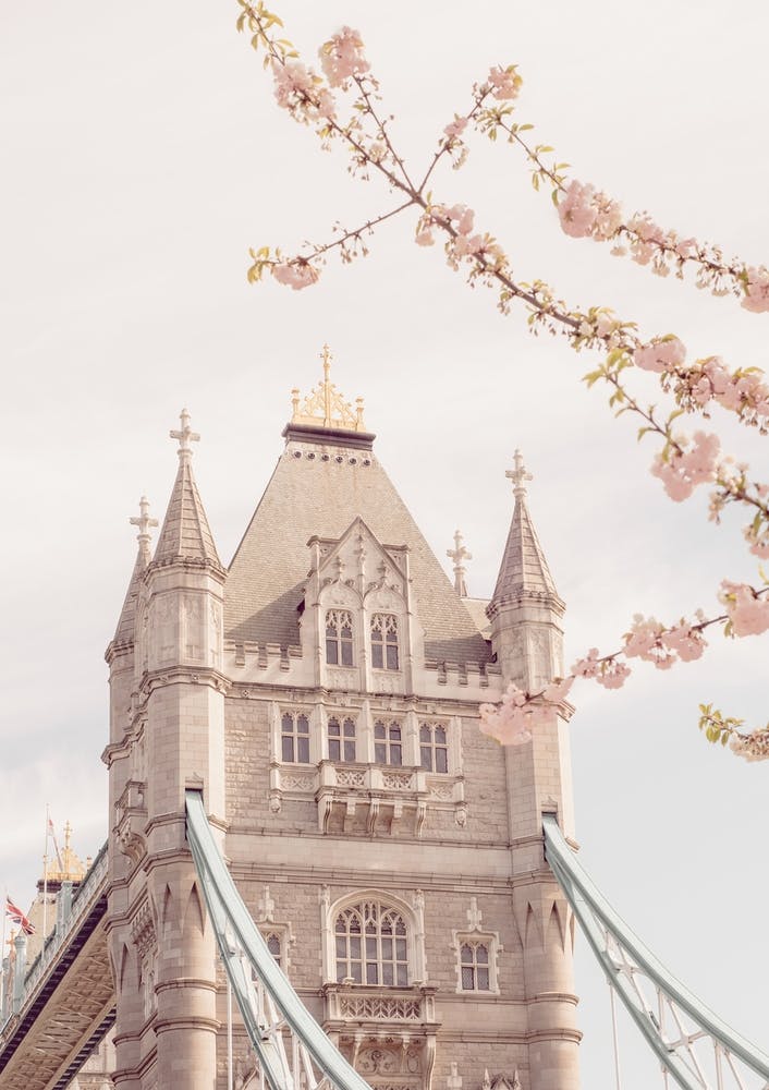 Tower Bridge I avec des fleurs roses