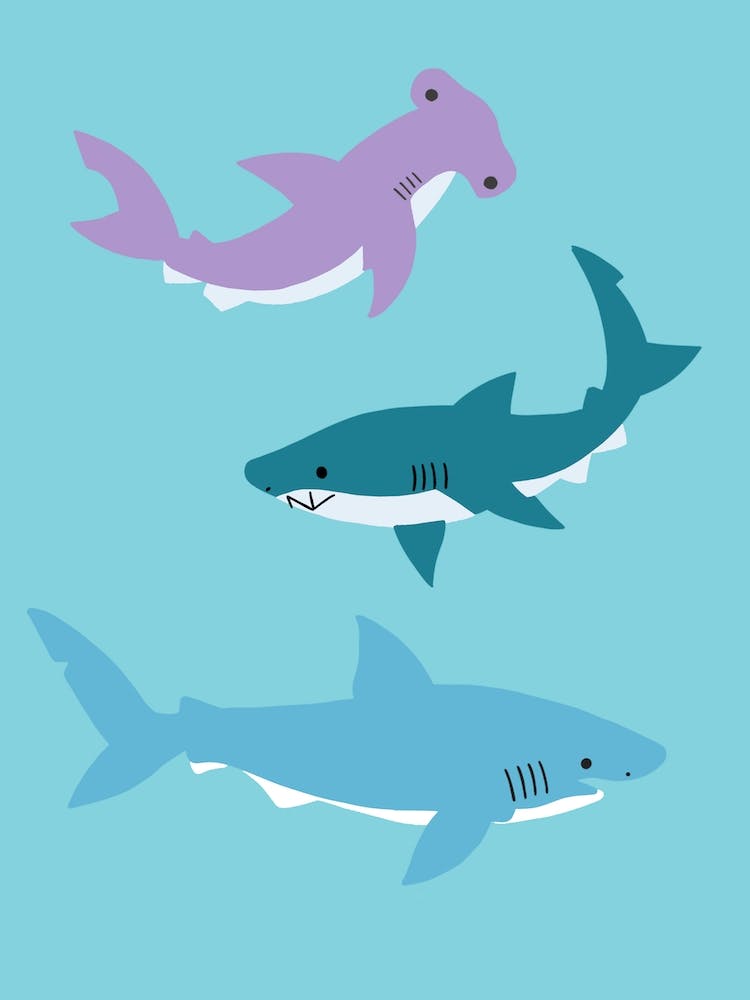 Sharks